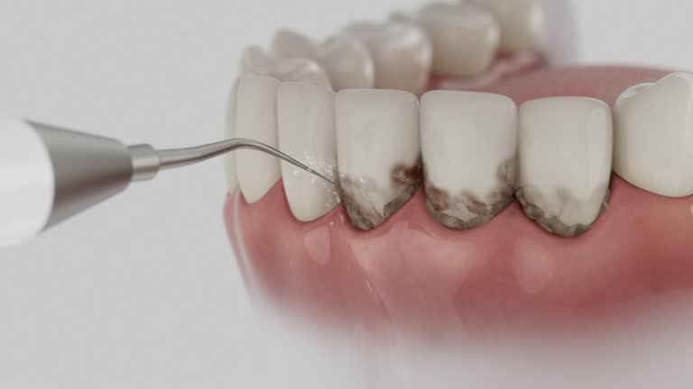 Reliable Dental contractor in Charenton, LA by Dentist Open Now